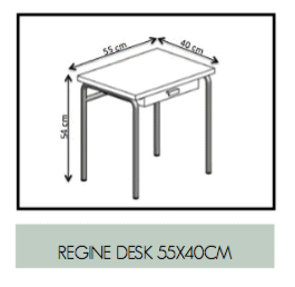 Regine Child Desk Mint Black Legs Les Gambettes