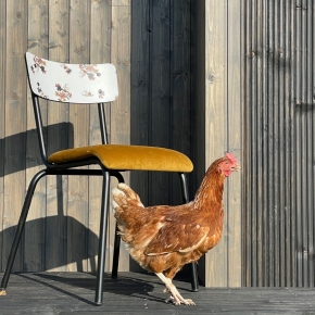 Chaise d’écolier Adulte Suzie bi-matière Dossier Imprimé Fleurs des Champs & Assise Velours Jaune Ocre - Pieds Noirs