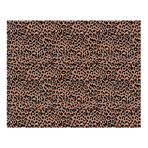 Tapis Vadim vinyle – Imprimé Graou - 160 x 200cm