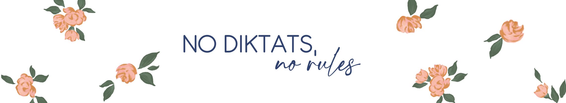 NodiktatsNoRules280824.png