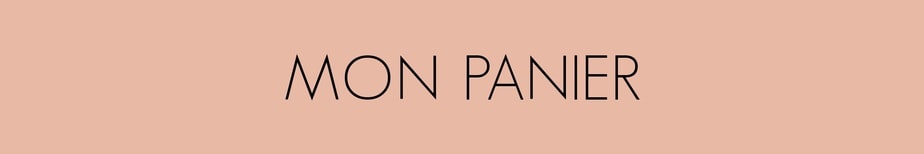 page de paiement