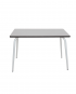 Light Grey Vera Table 120×70