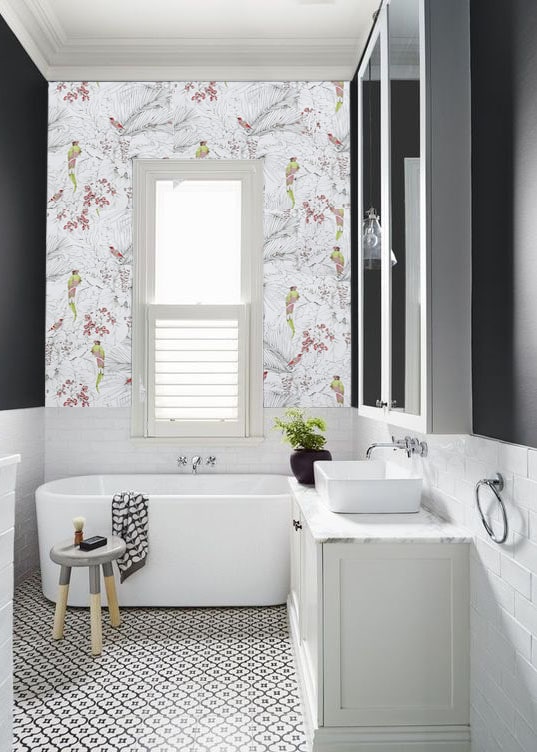 Téléchargement gratuit Images Papiers Peints Papier Peint Intisse Come Tropical Jungle dernière salutations